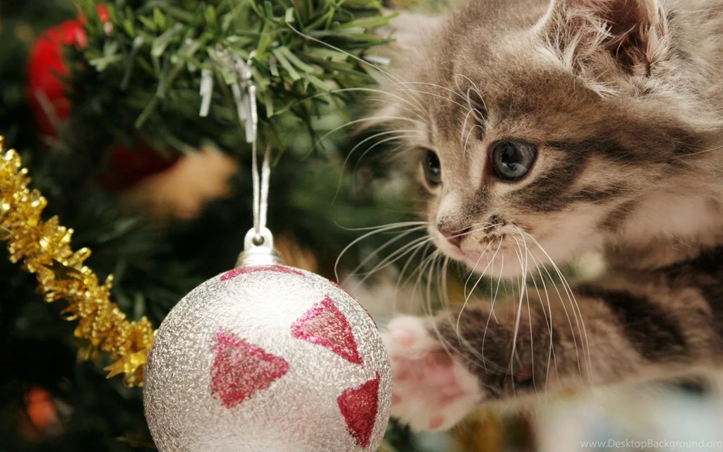Winter Holiday Wallpapers For Your Desktop Page 2