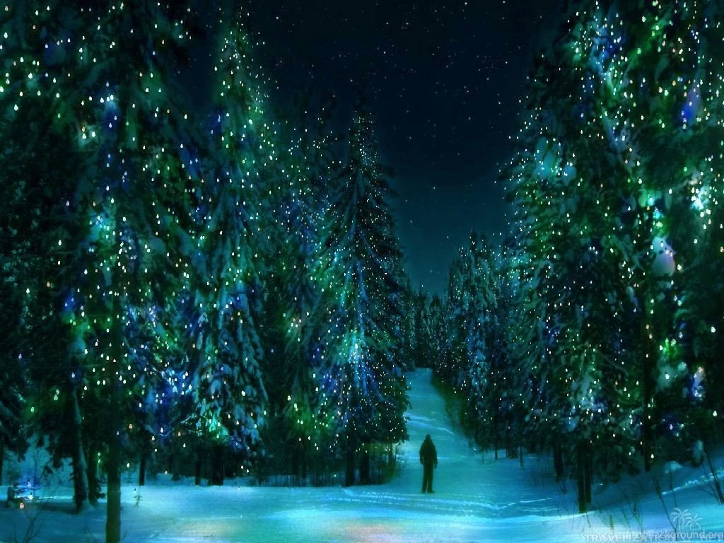 Wonderful Winter Night Wallpapers