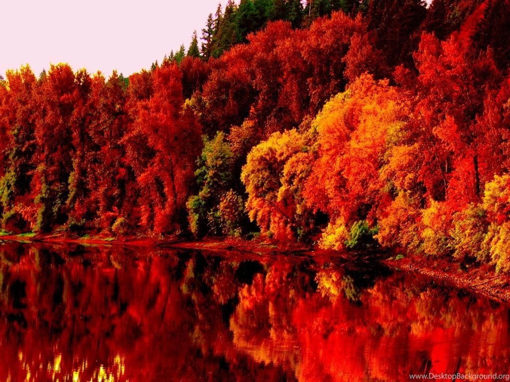 Autumn Nature Wallpapers HD Pictures