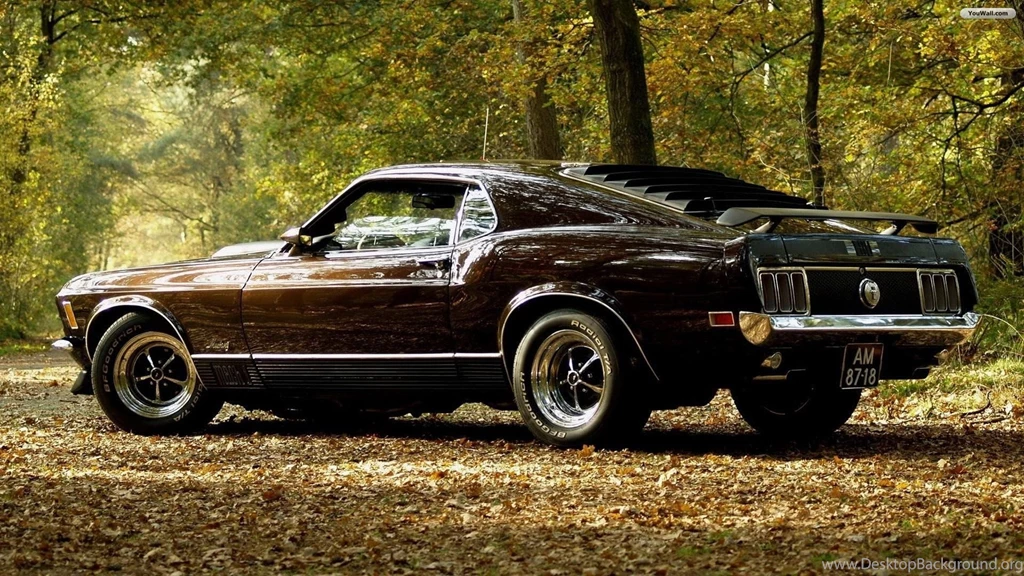 30 HD Mustang Wallpapers For Free Download