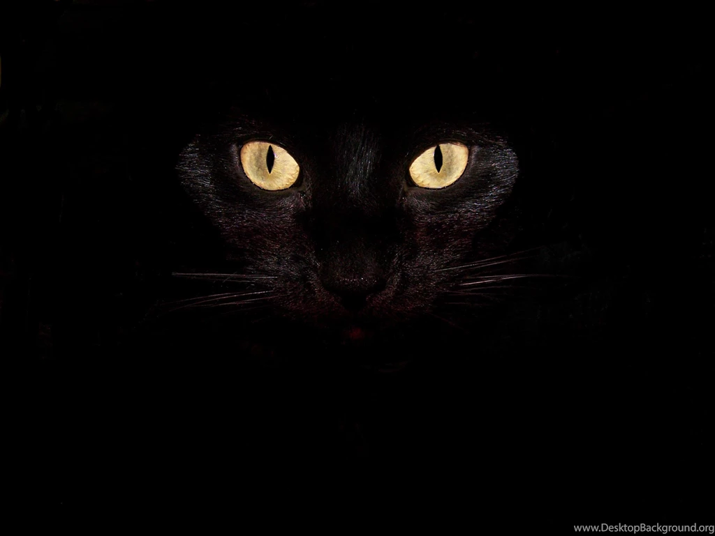 Wallpapers Roundup: All Hallow's Eve And Spooky Scenes Technology ...