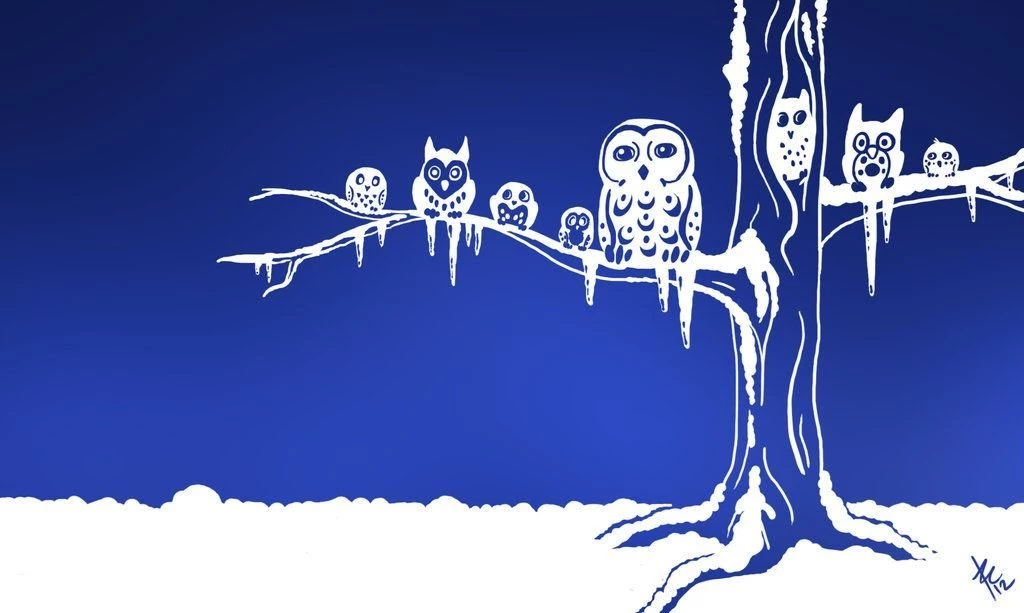 Bubble Owls Wallpapers By Brie91 On DeviantArt
