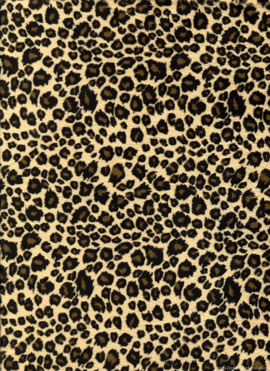 Leopard Backgrounds