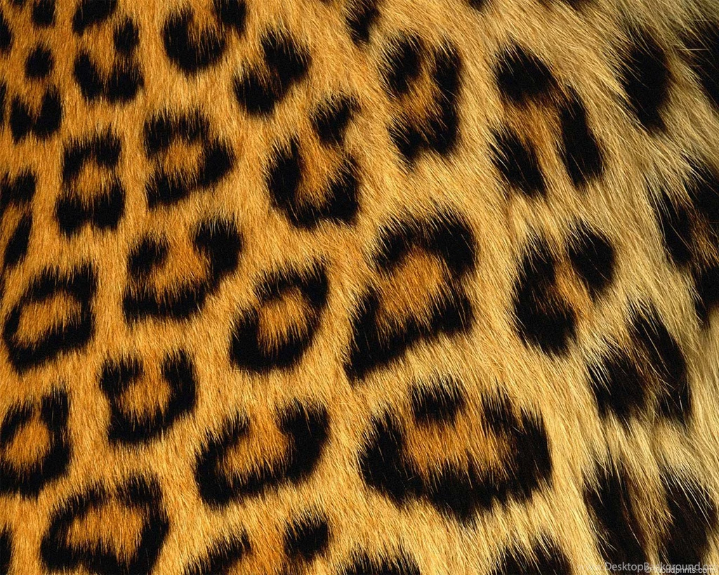 Leopard Patterns 1280x1024 Texture Wallpapers World Wallpapers ...