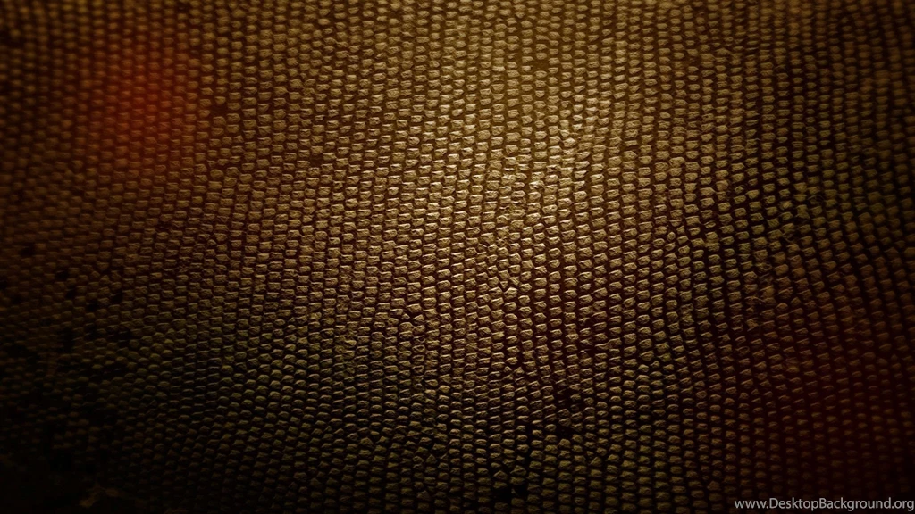 Download Wallpapers 2048x1152 Skin, Snake, Black, Yellow HD HD ...