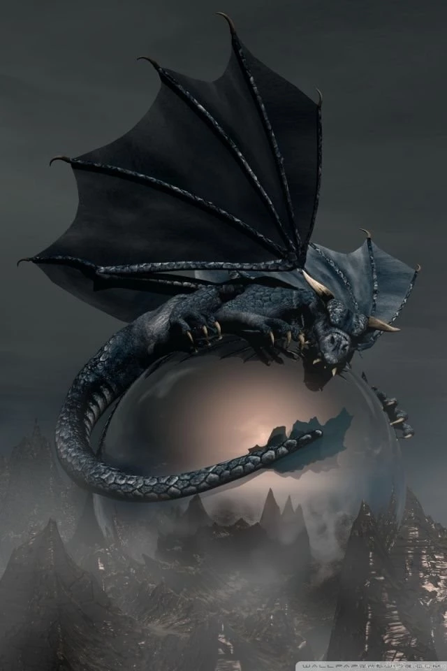 Black Dragon HD Desktop Wallpapers : Widescreen : High Definition ...