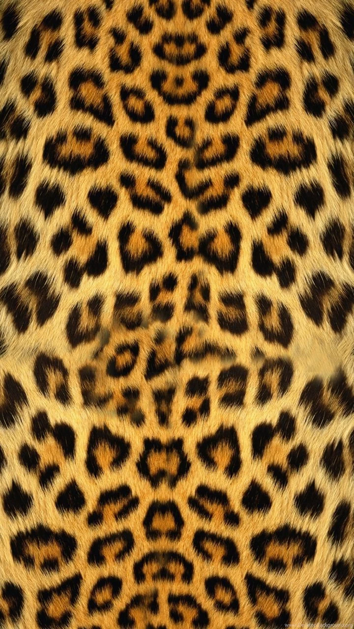 Pink Cheetah Zipper Lockscreen APK Download Apps For Android