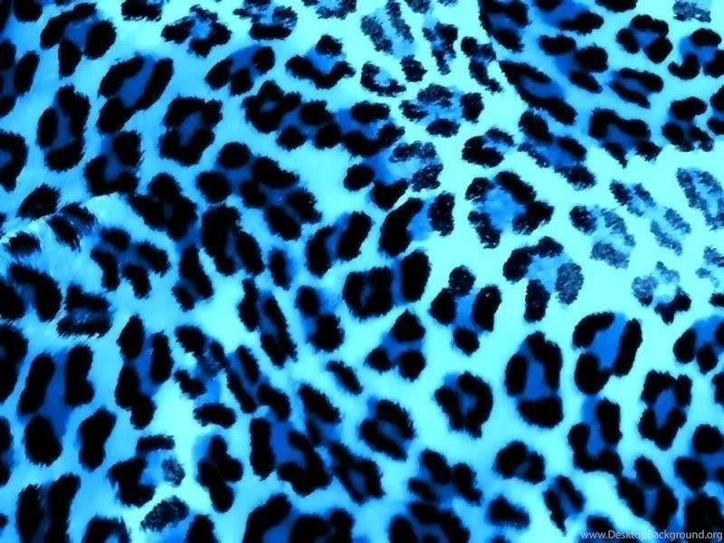 Top Cheetah Print Light Images For Pinterest