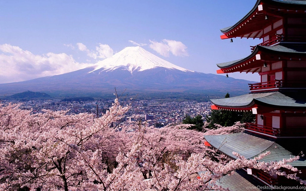 Tokyo Fuji Mountain And Sakura Flower HD Wallp