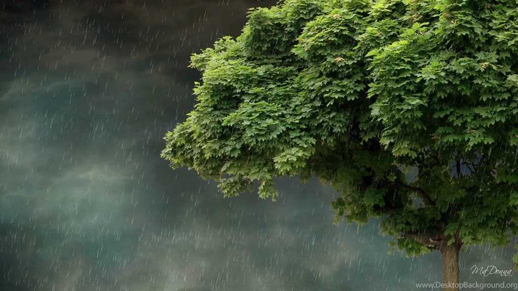 Spring rain wallpaper.jpg