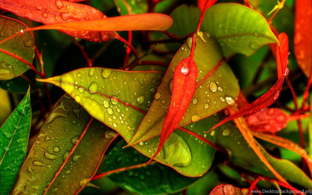 Heavy Rain Desktop HD Wallpapers