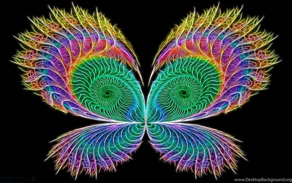 Butterfly Neon Colors Rock Wallpapers (18996035) Fanpop