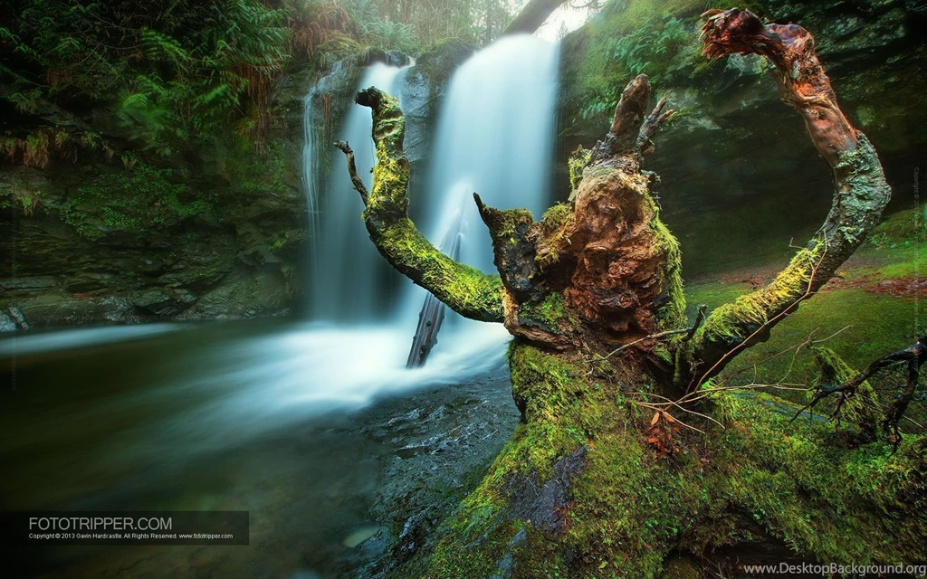 Free Desktop Backgrounds Fototripper