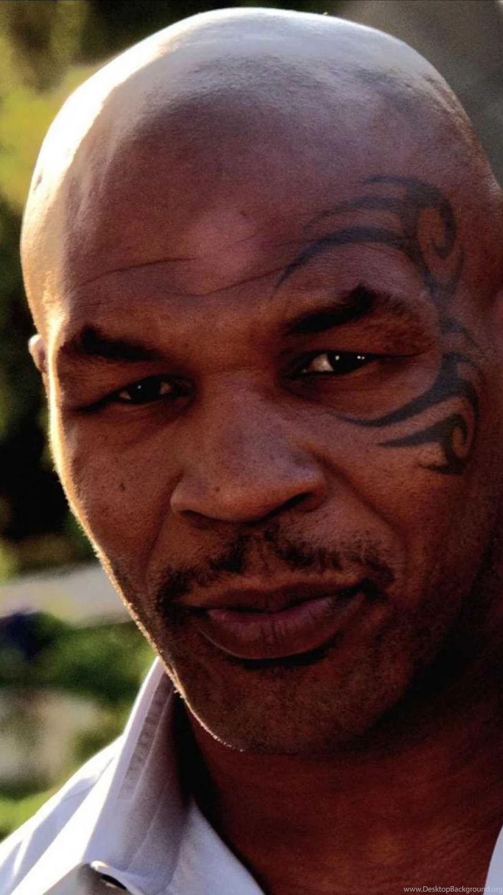 Sony Xperia Z1, ZL, Z, Samsung Galaxy S4, HTC One Mike Tyson ...