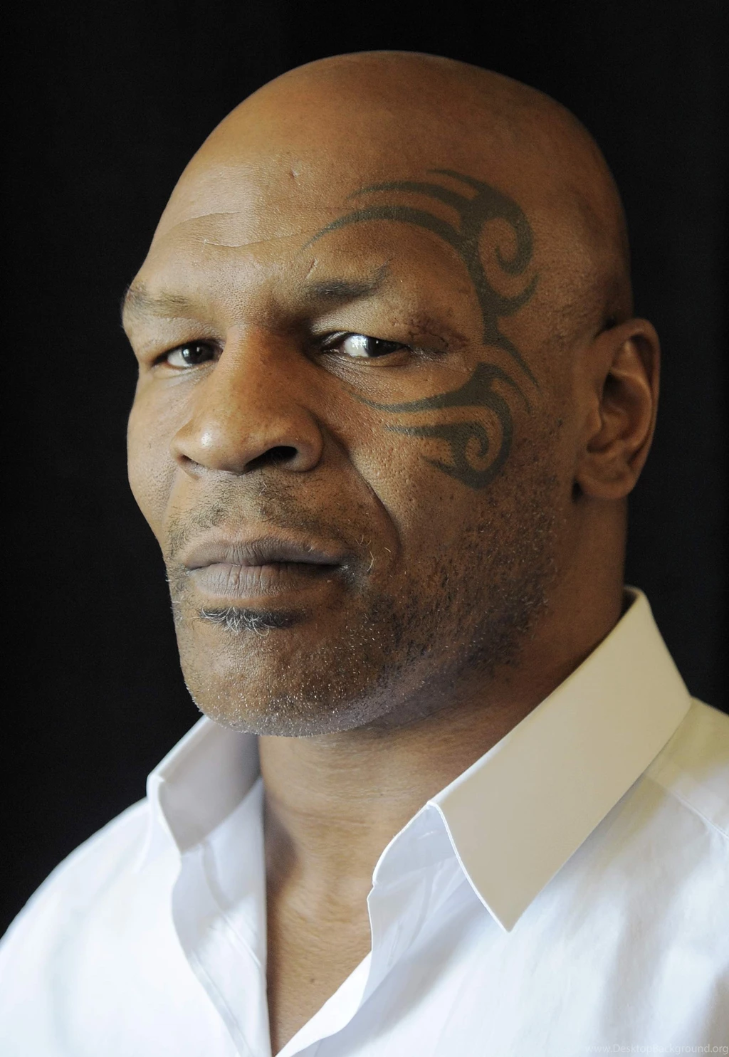 Stock Mike Tyson Wallpapers Wide Wallmanage.com