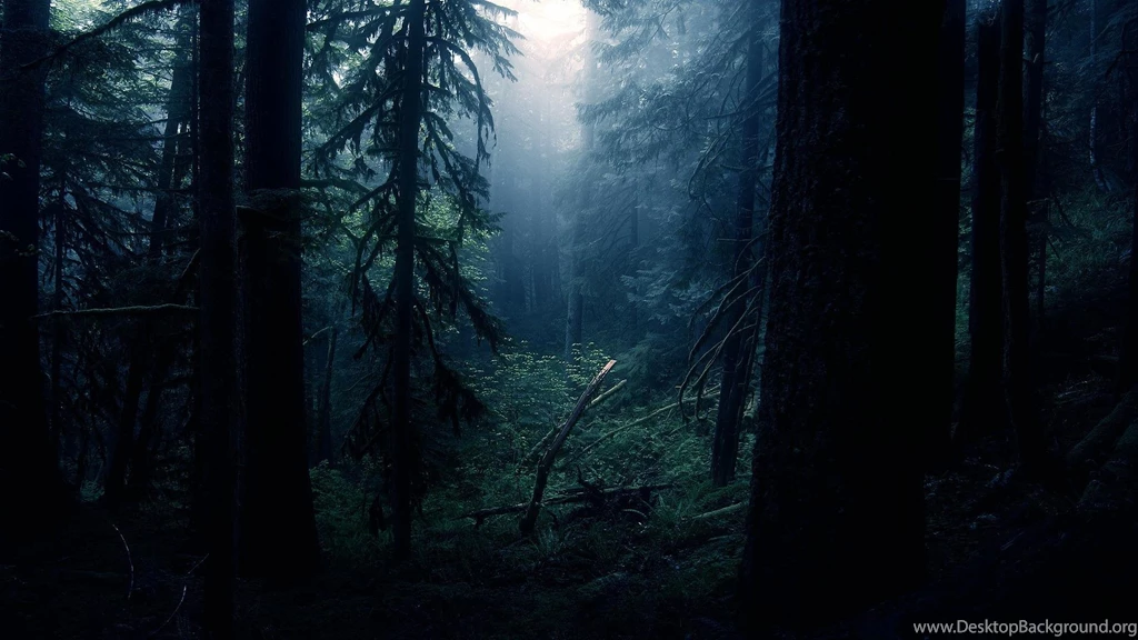 The Cover Of Darkness >> HD Wallpaper, Get It Now!