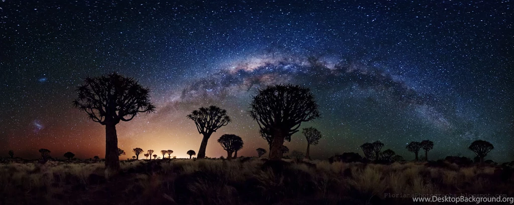APOD: 2012 December 12 Milky Way Over Quiver Tree Forest