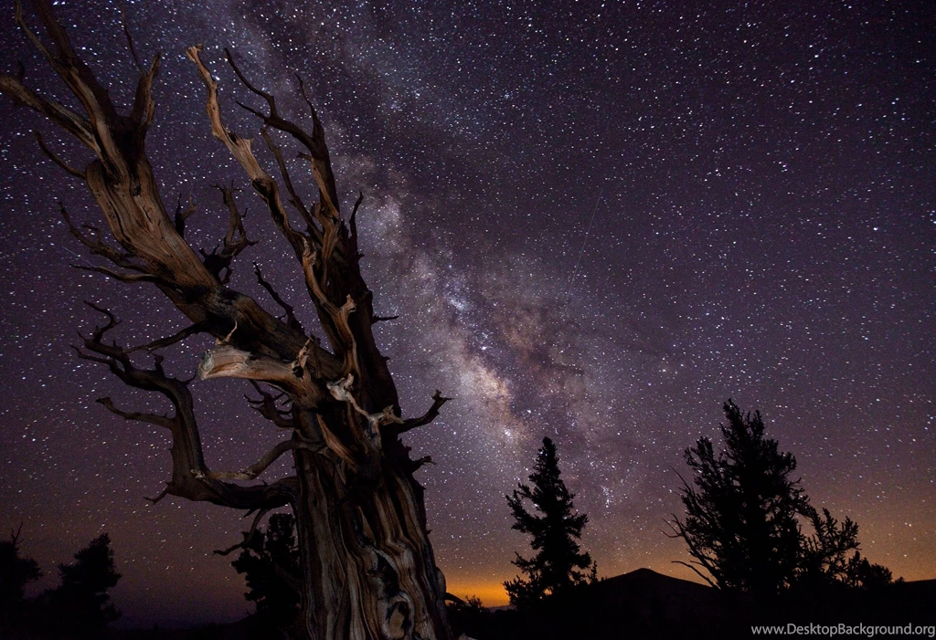 Astrophotography Without Telescope: How To Take Beautiful Pictures ...