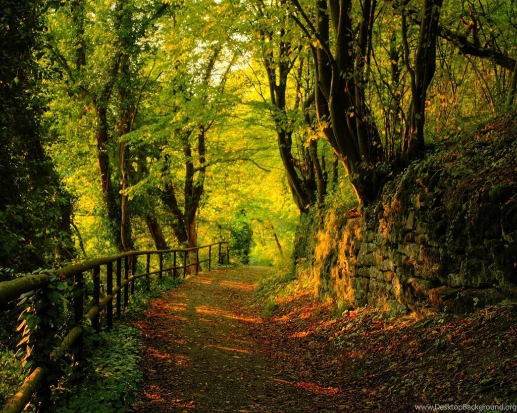 1280x1024 Autumn Desktop PC And Mac Wallpapers