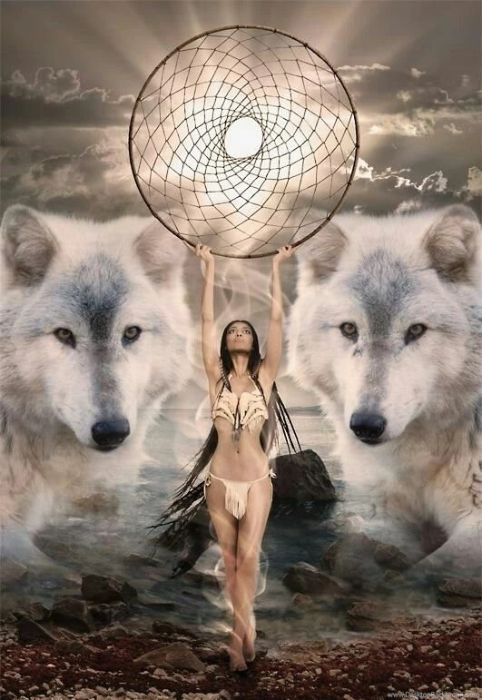 Wolves Backgrounds Dream Catcher