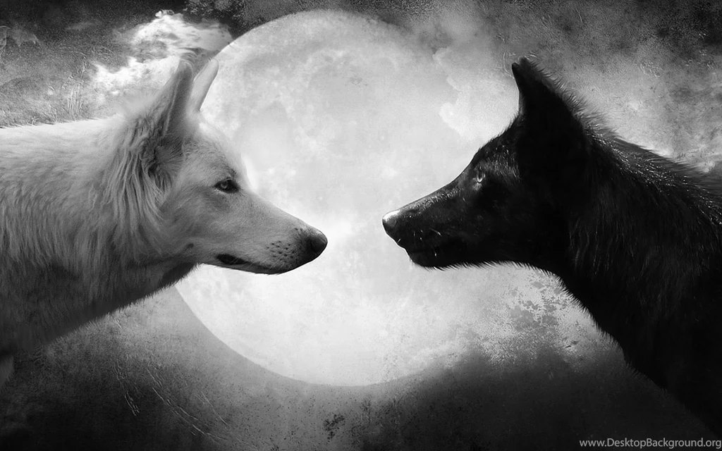 Black And White Wallpapers With Wolves