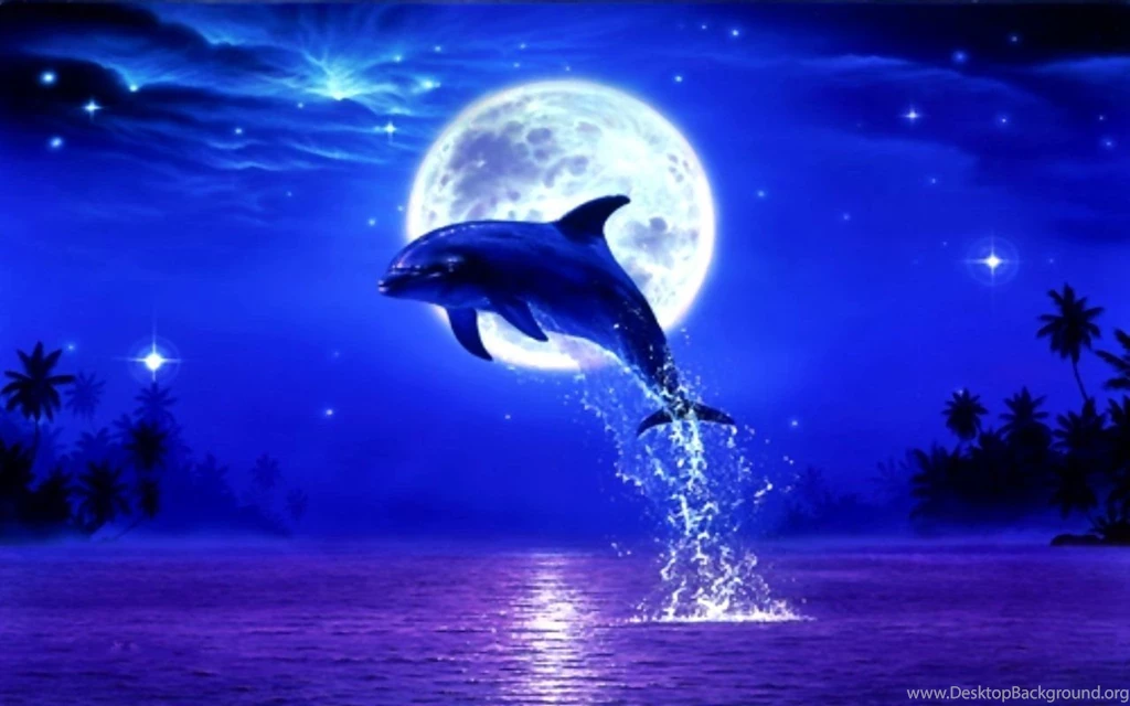 Top Dolphin Desktop Images For Pinterest