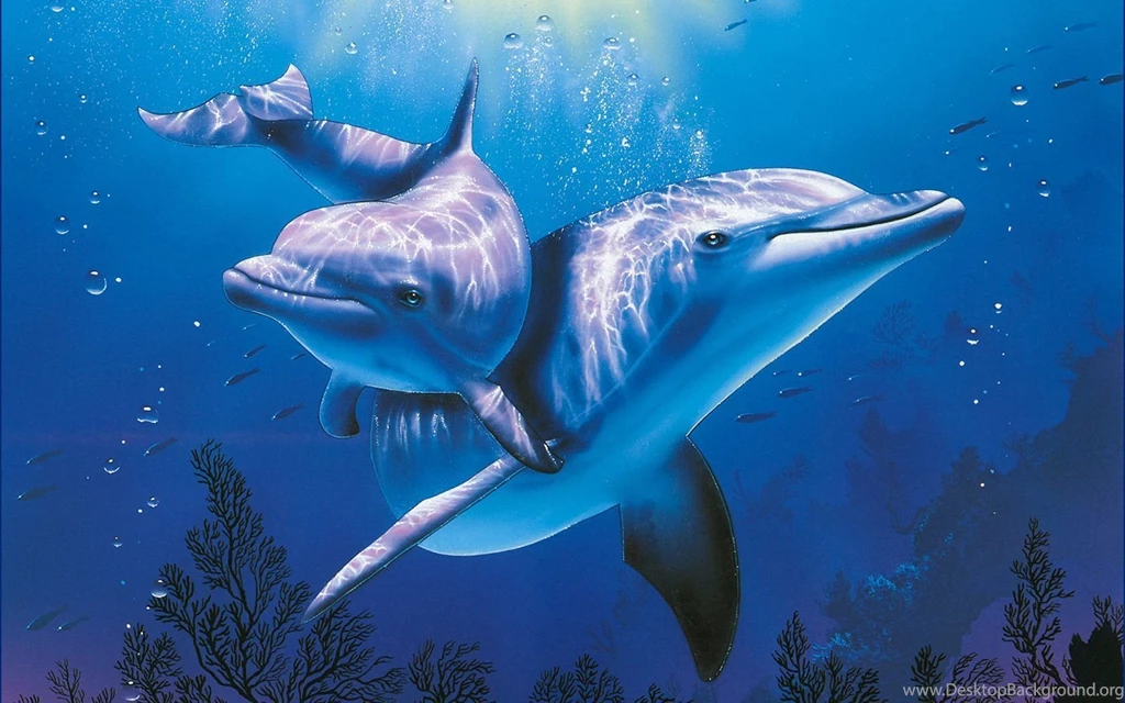 Dolphin Computer Wallpapers, Desktop Backgrounds