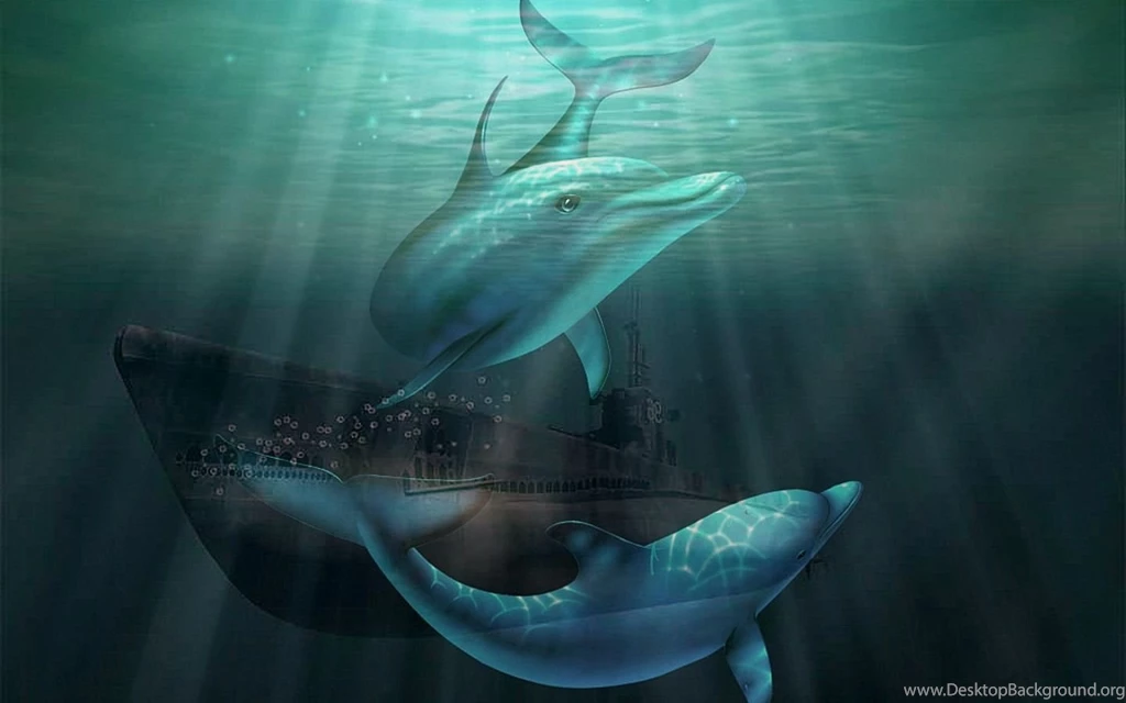 Dolphin Wallpaper Backgrounds