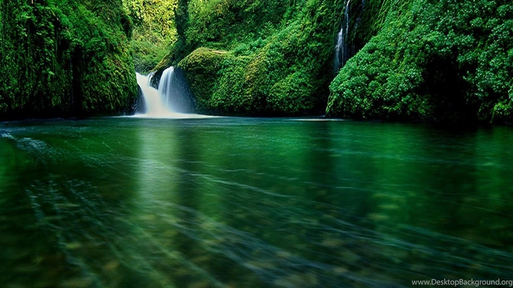 Download Forest Wallpaper Waterfall Picture Green Water Image.jpg