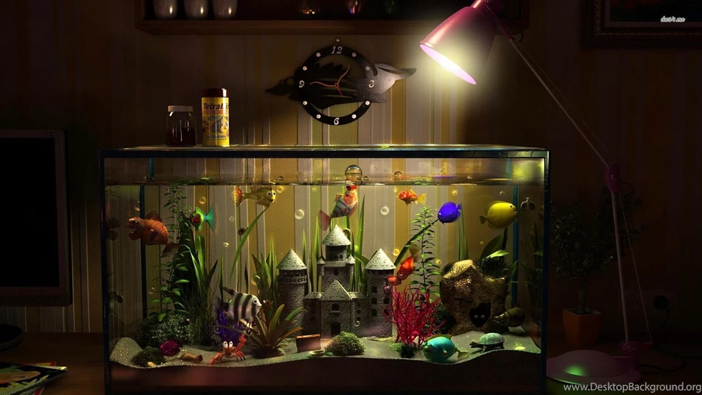 Aquarium On The Desk Wallpapers Digital Art Wallpapers