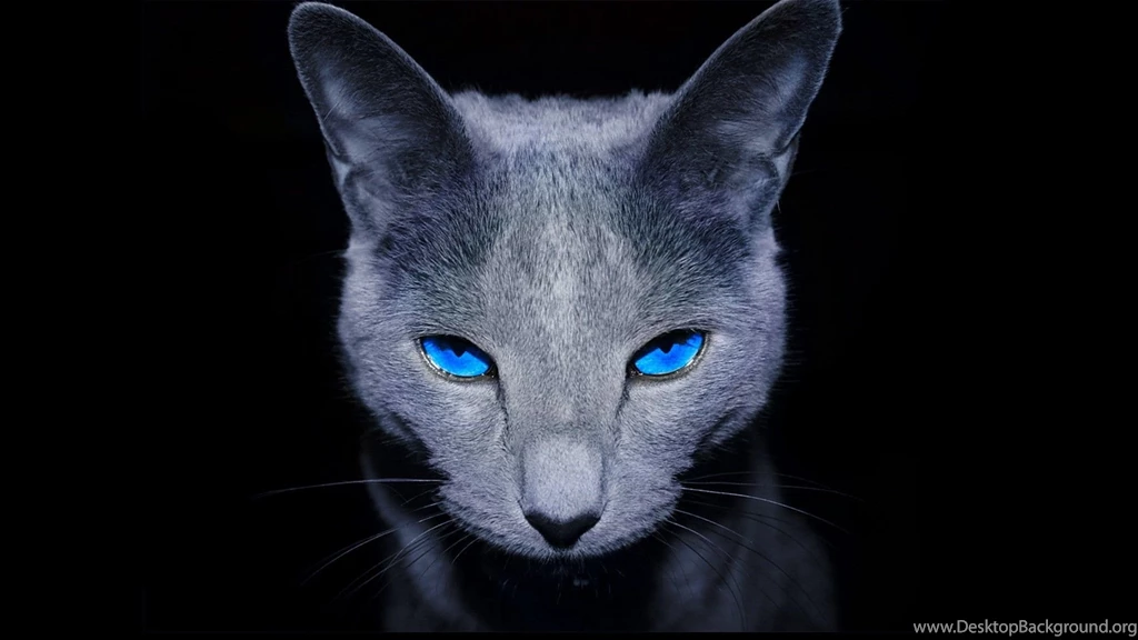Blue Eyes Wallpapers