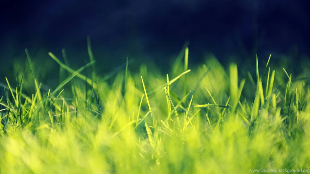 2560x1440 HD Wallpapers