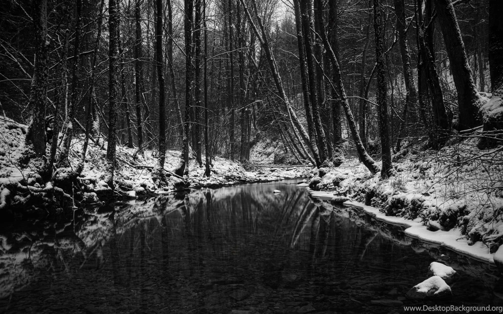 Black And White Desktop Wallpapers