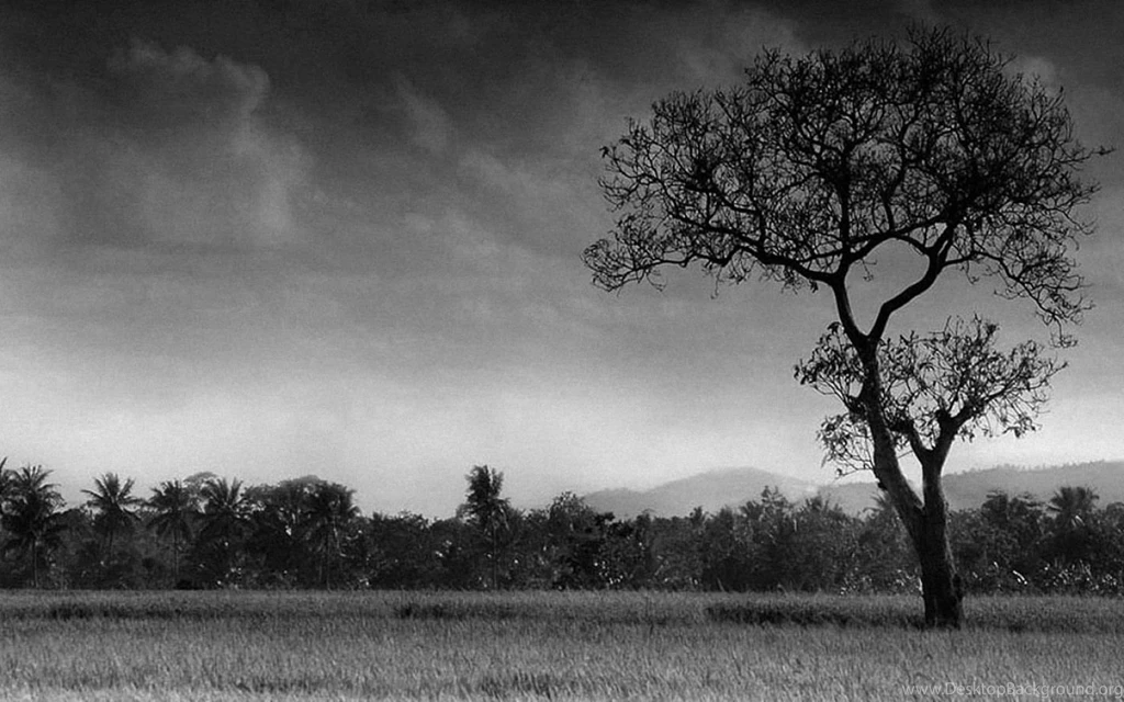 Black And White Desktop Wallpapers