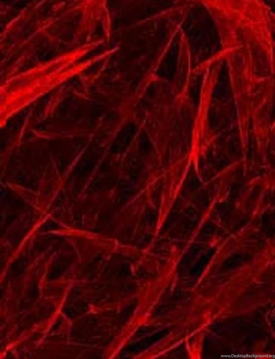 Black And Red Backgrounds