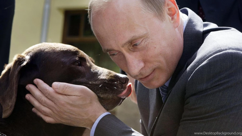 Vladimir Putin A Man With Dog Russians Wallpapers