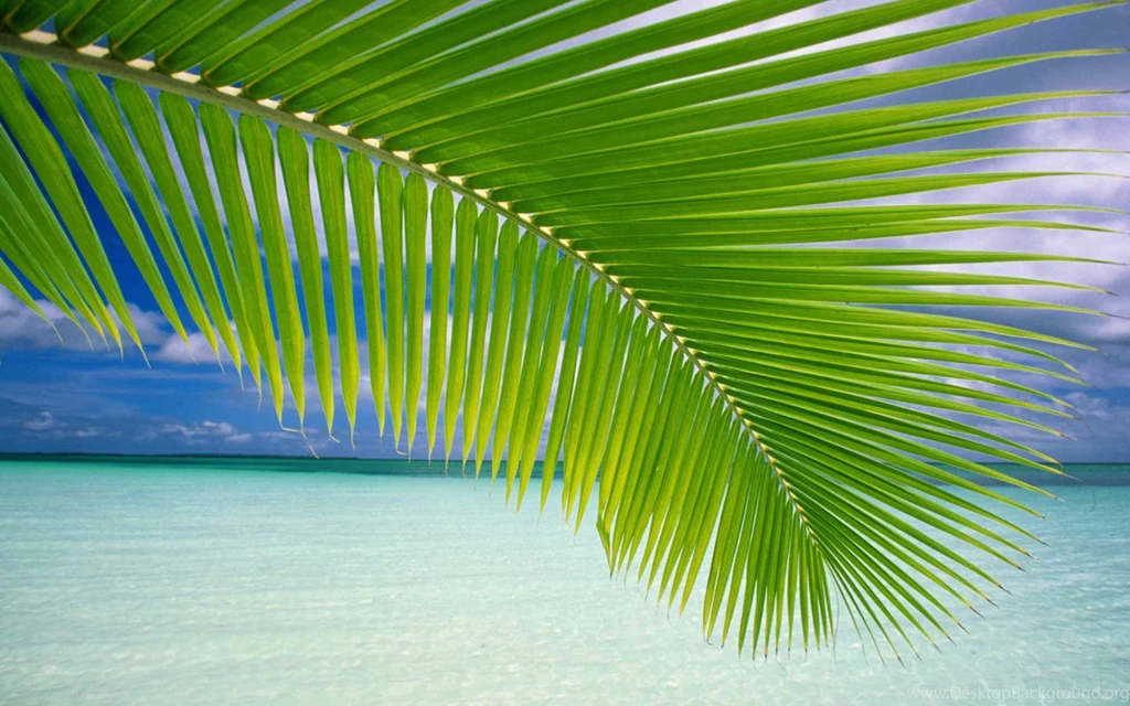 Cool Backgrounds For Laptops