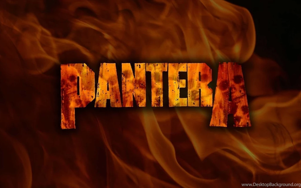 16 Pantera HD Wallpapers