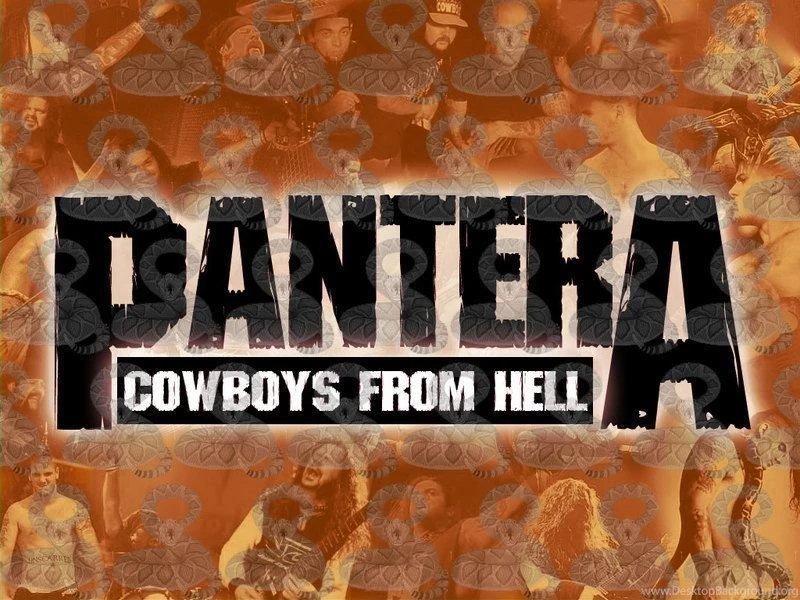 Pantera   Pantera Wallpapers (1626293)   Fanpop