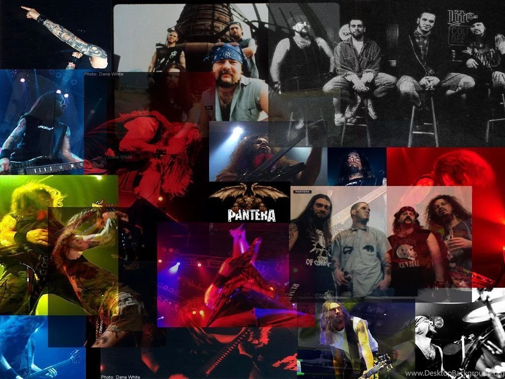 Pantera   Pantera Wallpapers (172012)   Fanpop