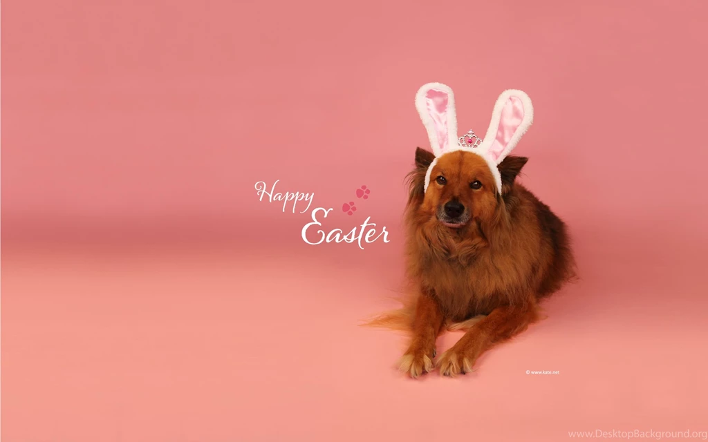 Free Easter Wallpapers, Desktop Backgrounds By Kate.net