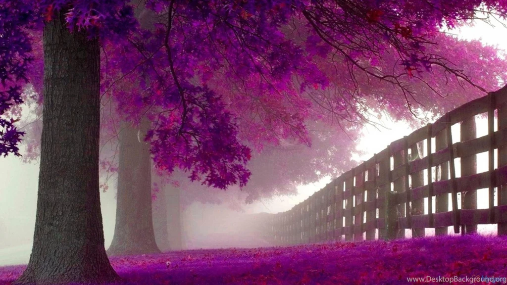 Purple Wallpapers HD