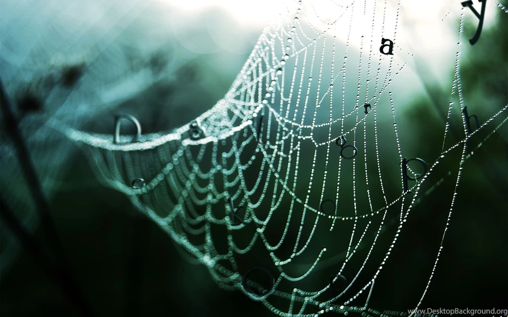 Spider Web Wallpapers Archives HDWallSource.com HDWallSource.com