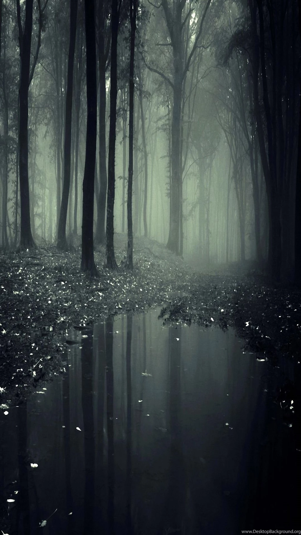 Snowflake Shape Snow Galaxy S4 S5 Wallpapers HD 1080x1920