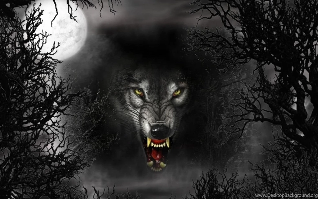 Black Wolf Wallpapers