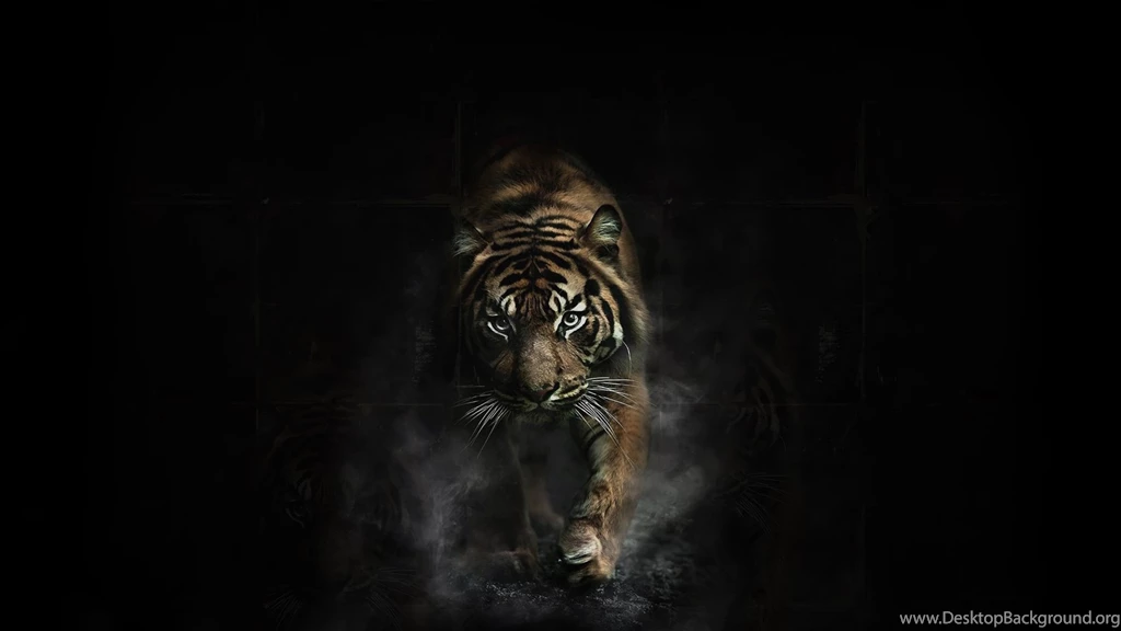 Tiger Wallpaper_hd Wallpaper_download Free Wallpapers