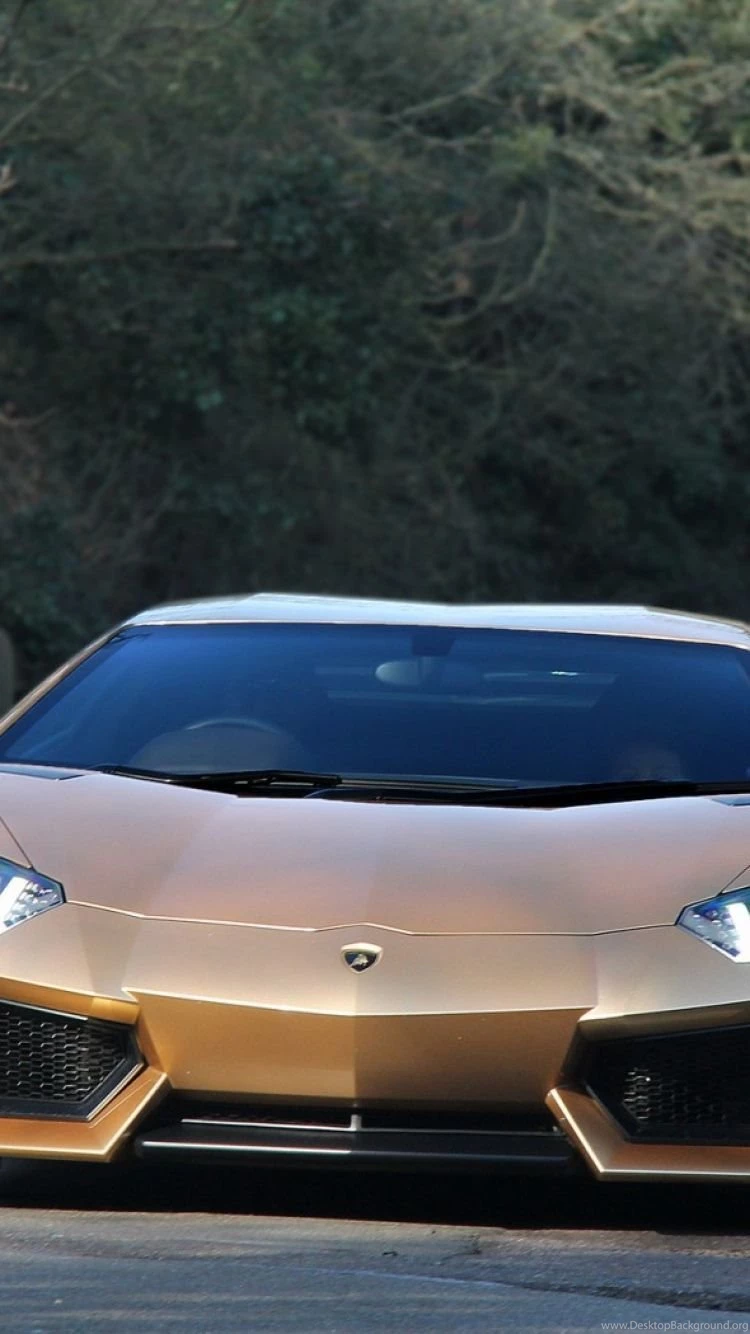 Download Wallpapers 750x1334 Lamborghini, Aventador, Front View ...
