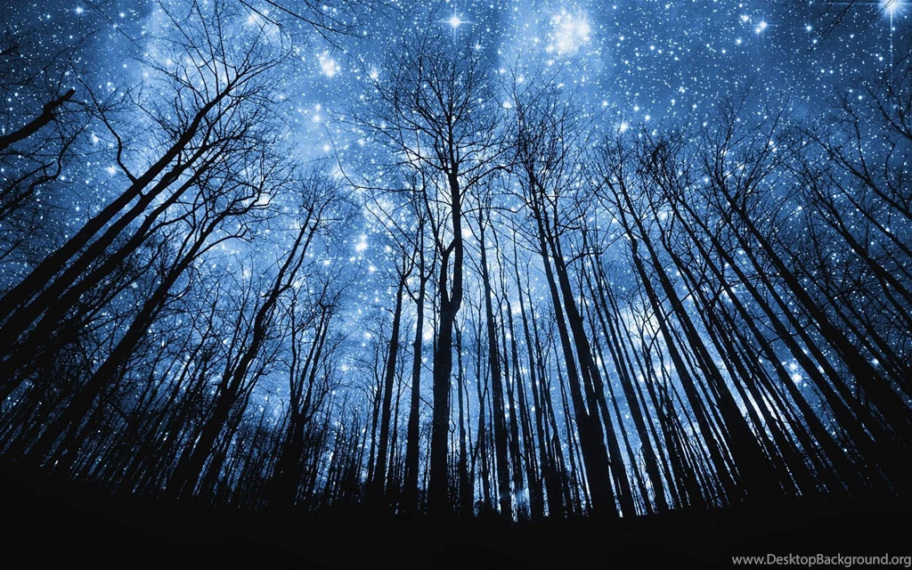 Dark Starry Night Sky