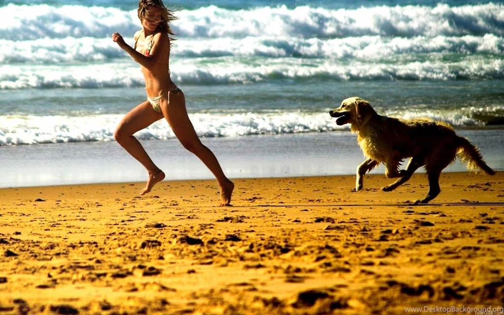 HD Quality Running In The Beach Wallpapers SiWallpapers 22327