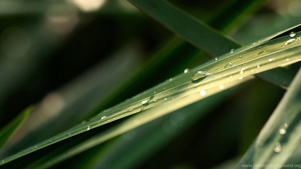 Wallpapers 84 1280 X 720 HDTV 720p Wallpapers Wallpapersense